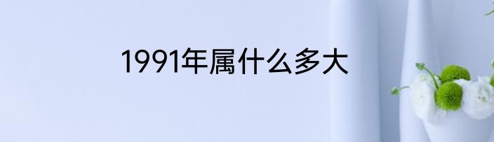 1991年属什么多大