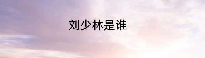 刘少林是谁