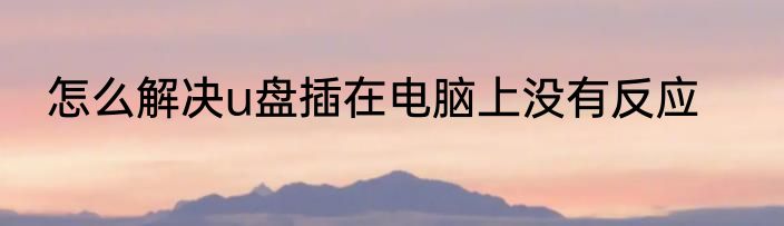 怎么解决u盘插在电脑上没有反应