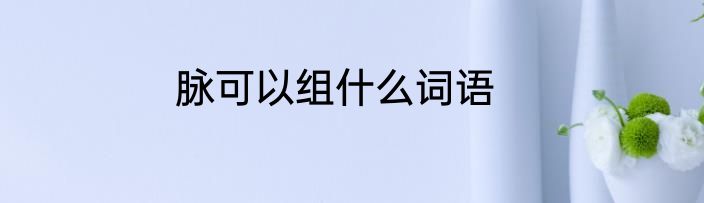 脉可以组什么词语