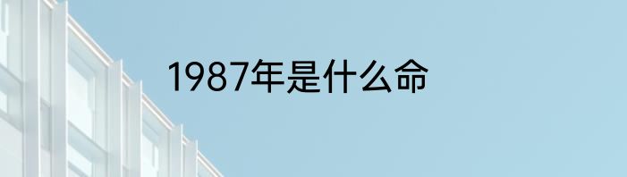 1987年是什么命