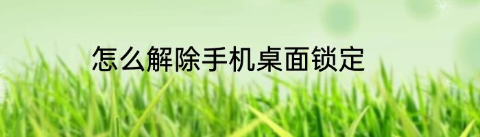 怎么解除手机桌面锁定