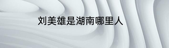 刘美雄是湖南哪里人