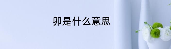 卯是什么意思