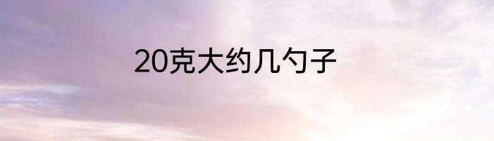 20克大约几勺子