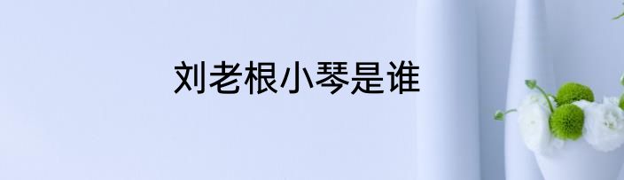 刘老根小琴是谁