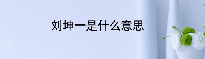 刘坤一是什么意思