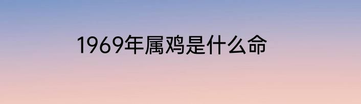 1969年属鸡是什么命