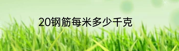 20钢筋每米多少千克