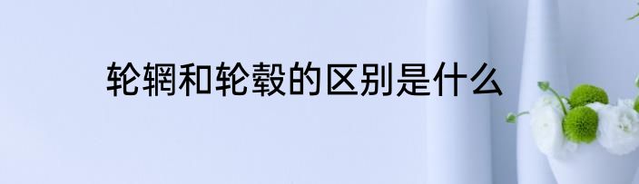 轮辋和轮毂的区别是什么