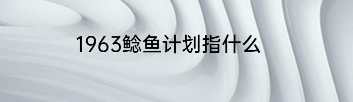 1963鲶鱼计划指什么