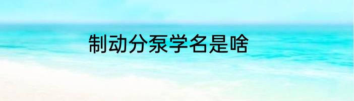 制动分泵学名是啥