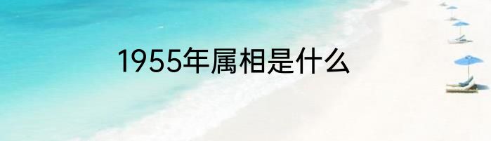 1955年属相是什么