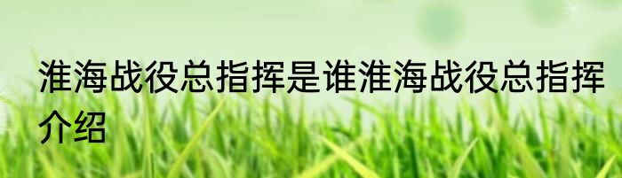 淮海战役总指挥是谁淮海战役总指挥介绍