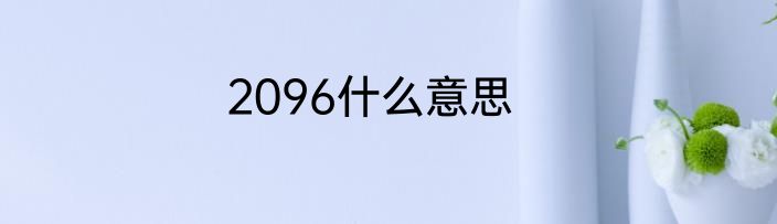 2096什么意思