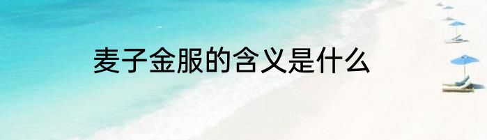 麦子金服的含义是什么