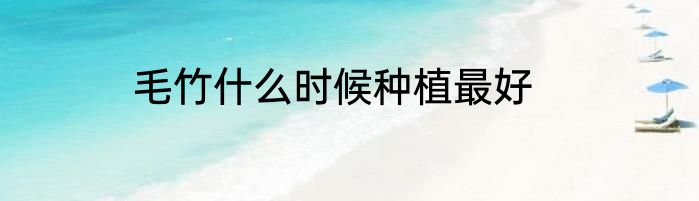 毛竹什么时候种植最好