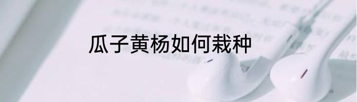 瓜子黄杨如何栽种