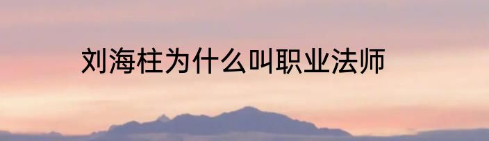 刘海柱为什么叫职业法师