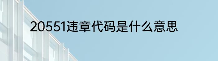 20551违章代码是什么意思