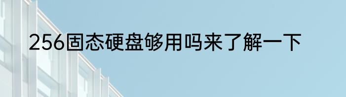 256固态硬盘够用吗来了解一下