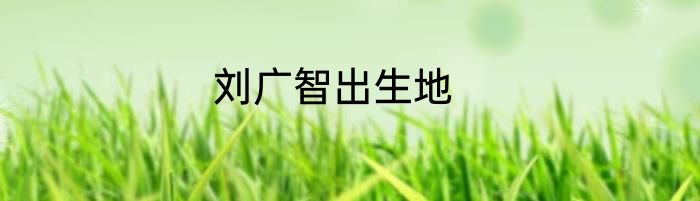 刘广智出生地