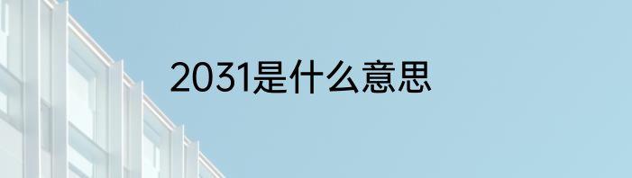 2031是什么意思