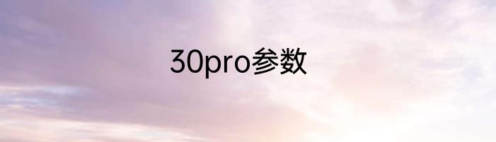 30pro参数