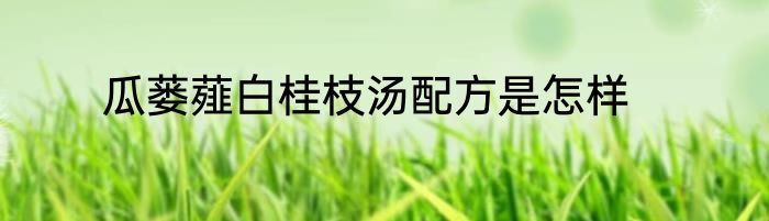瓜蒌薤白桂枝汤配方是怎样