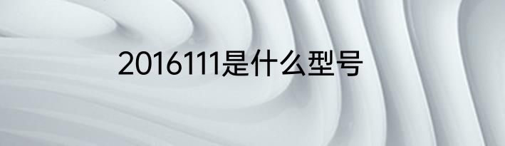 2016111是什么型号