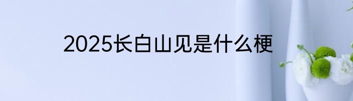 2025长白山见是什么梗