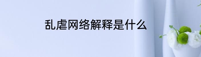 乱虐网络解释是什么