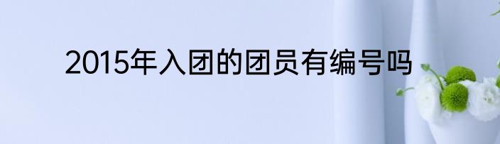 2015年入团的团员有编号吗