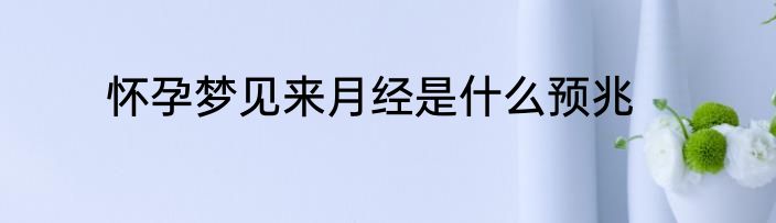 怀孕梦见来月经是什么预兆