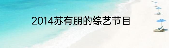 2014苏有朋的综艺节目
