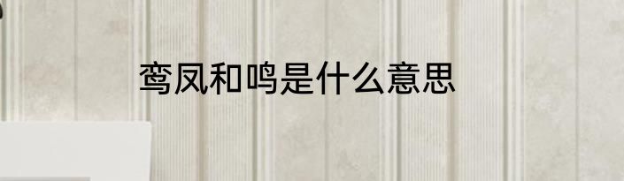 鸾凤和鸣是什么意思