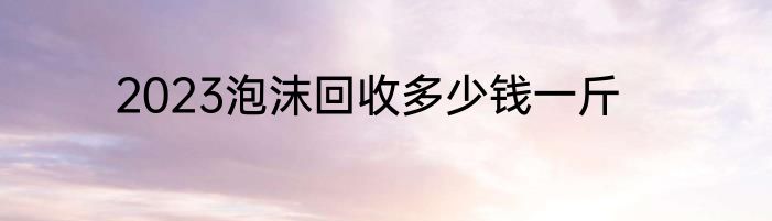 2023泡沫回收多少钱一斤