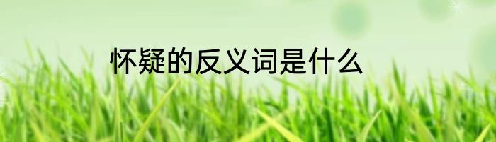 怀疑的反义词是什么