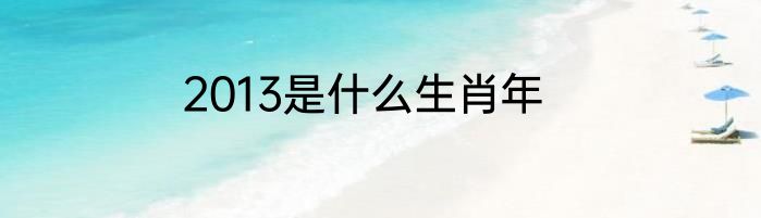 2013是什么生肖年