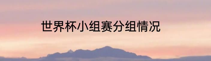 世界杯小组赛分组情况