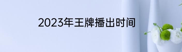 2023年王牌播出时间