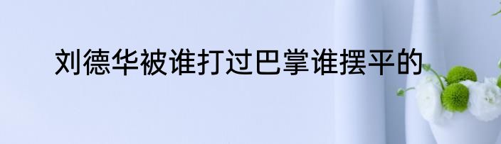 刘德华被谁打过巴掌谁摆平的