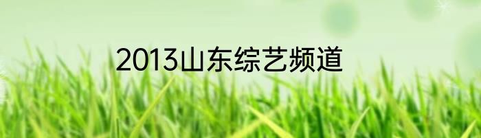 2013山东综艺频道