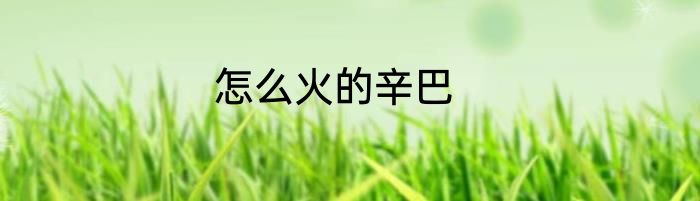 怎么火的辛巴