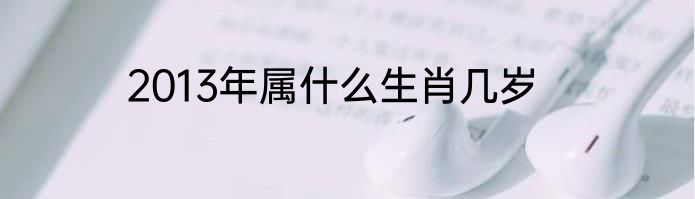 2013年属什么生肖几岁