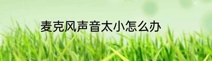 麦克风声音太小怎么办