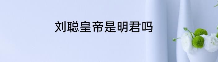 刘聪皇帝是明君吗