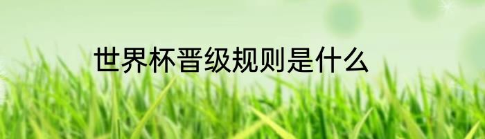 世界杯晋级规则是什么