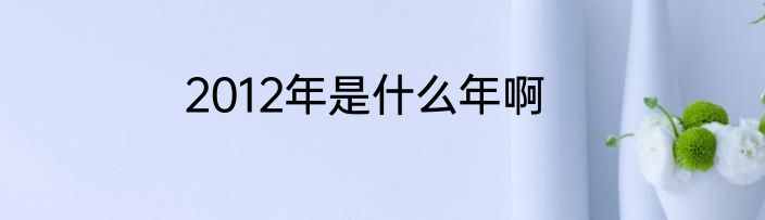 2012年是什么年啊