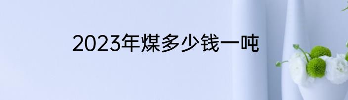 2023年煤多少钱一吨